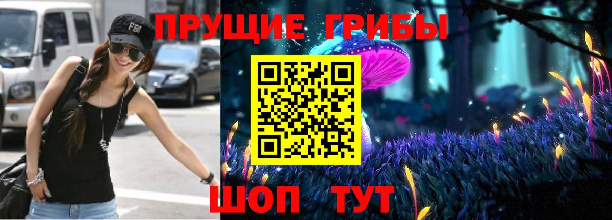 Псилоцибиновые грибы MAGIC MUSHROOMS  как найти   Заречный  Вход с VPN  Псилоцибиновые грибы ЛСД 